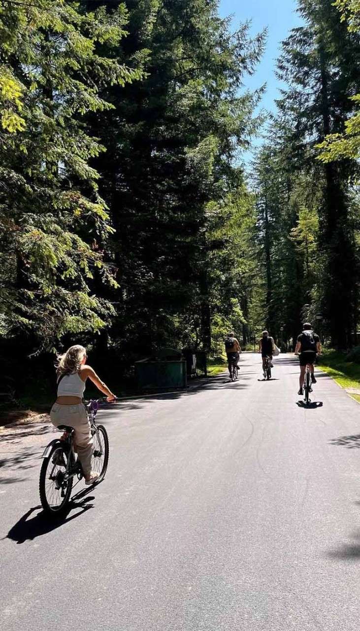 Family cycling  through the forest on a sunny day