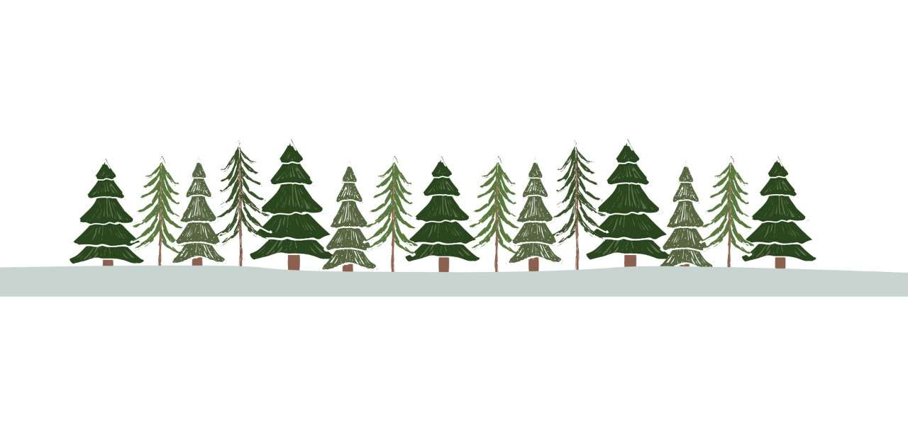 Illustration of evergreen trees sprinkled in snow 