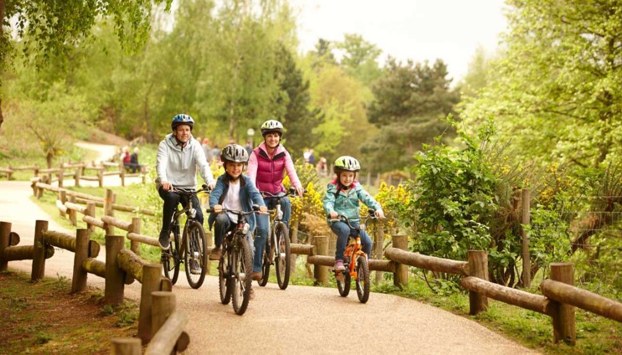A family cycling together.