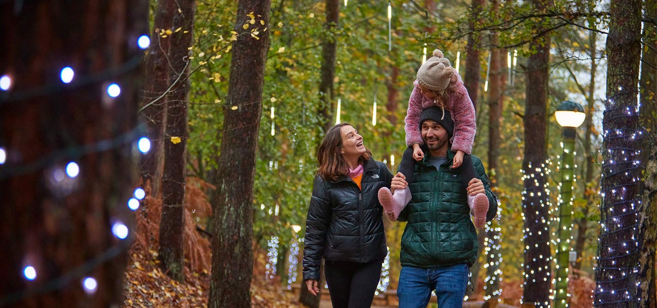 A family walking though the forest, with trees wrapped in fairy lights