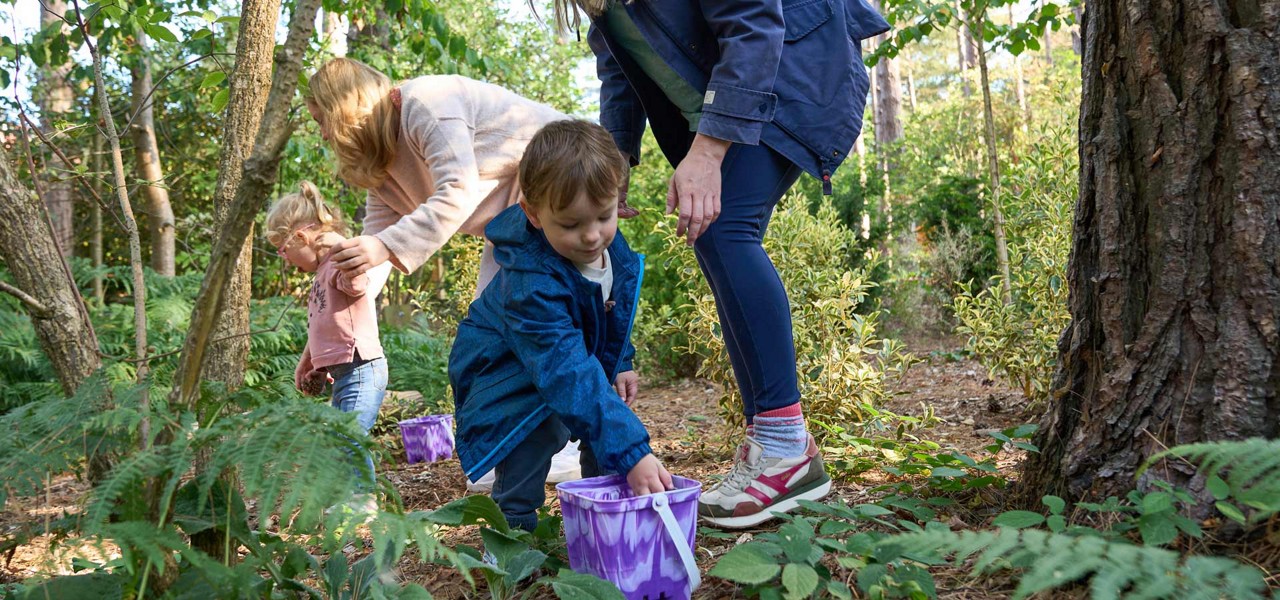 Children exploring the forest