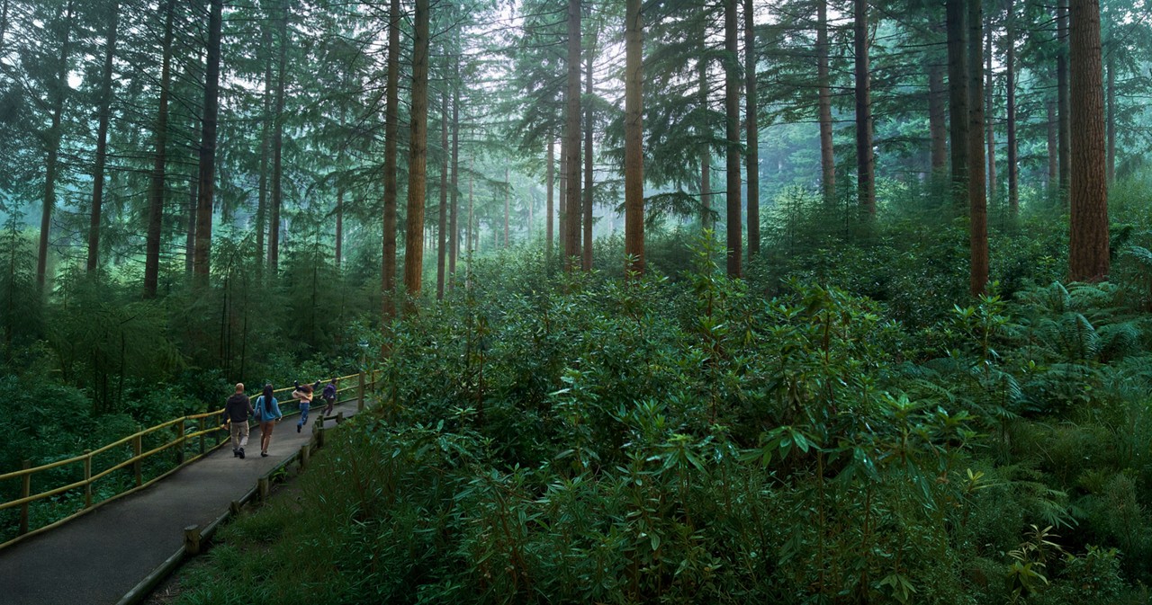 A family walking in the forest.