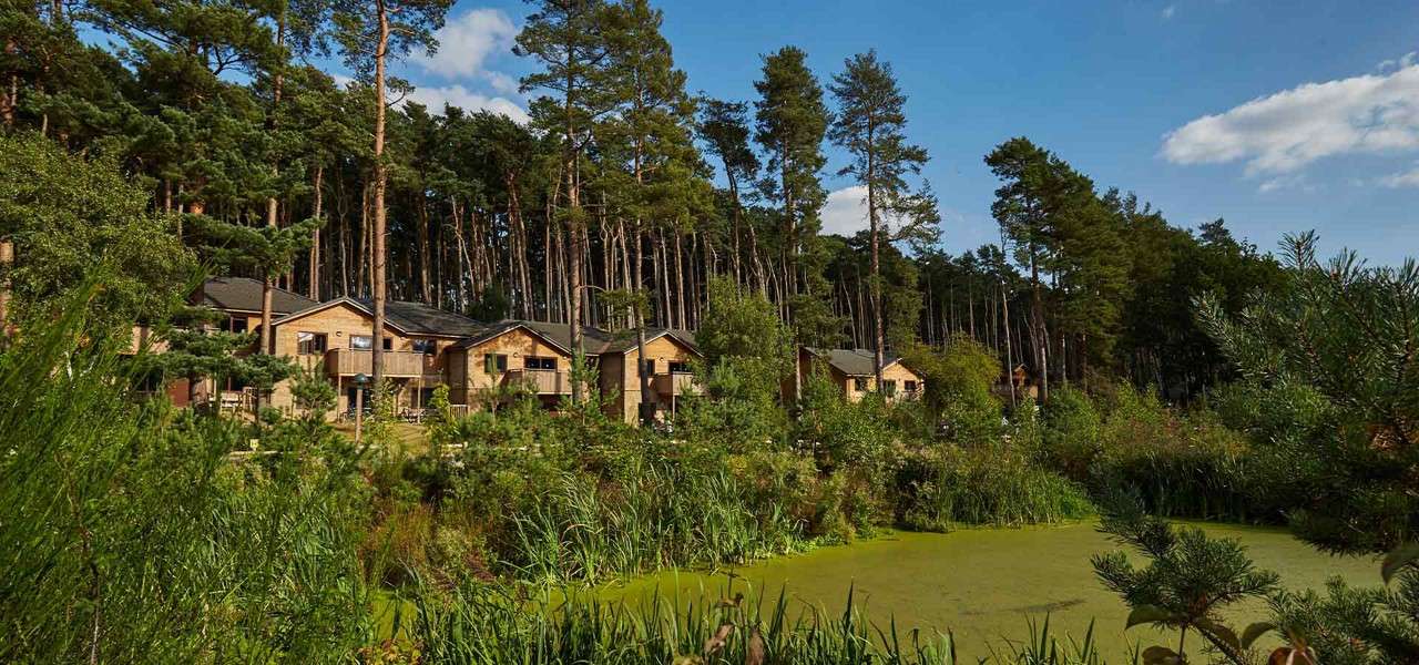 search for your break