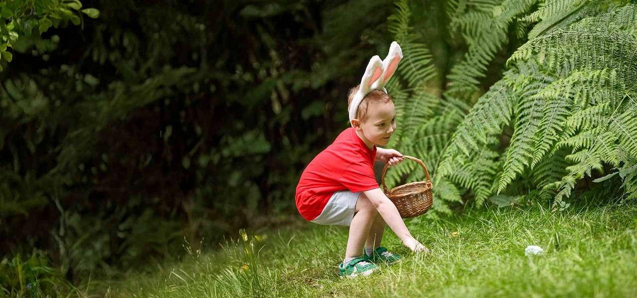 A young child on easter egg hunt wearing bunny ears. 