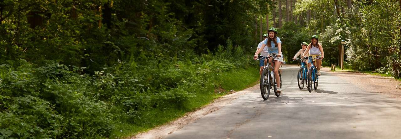 A family cycling together.