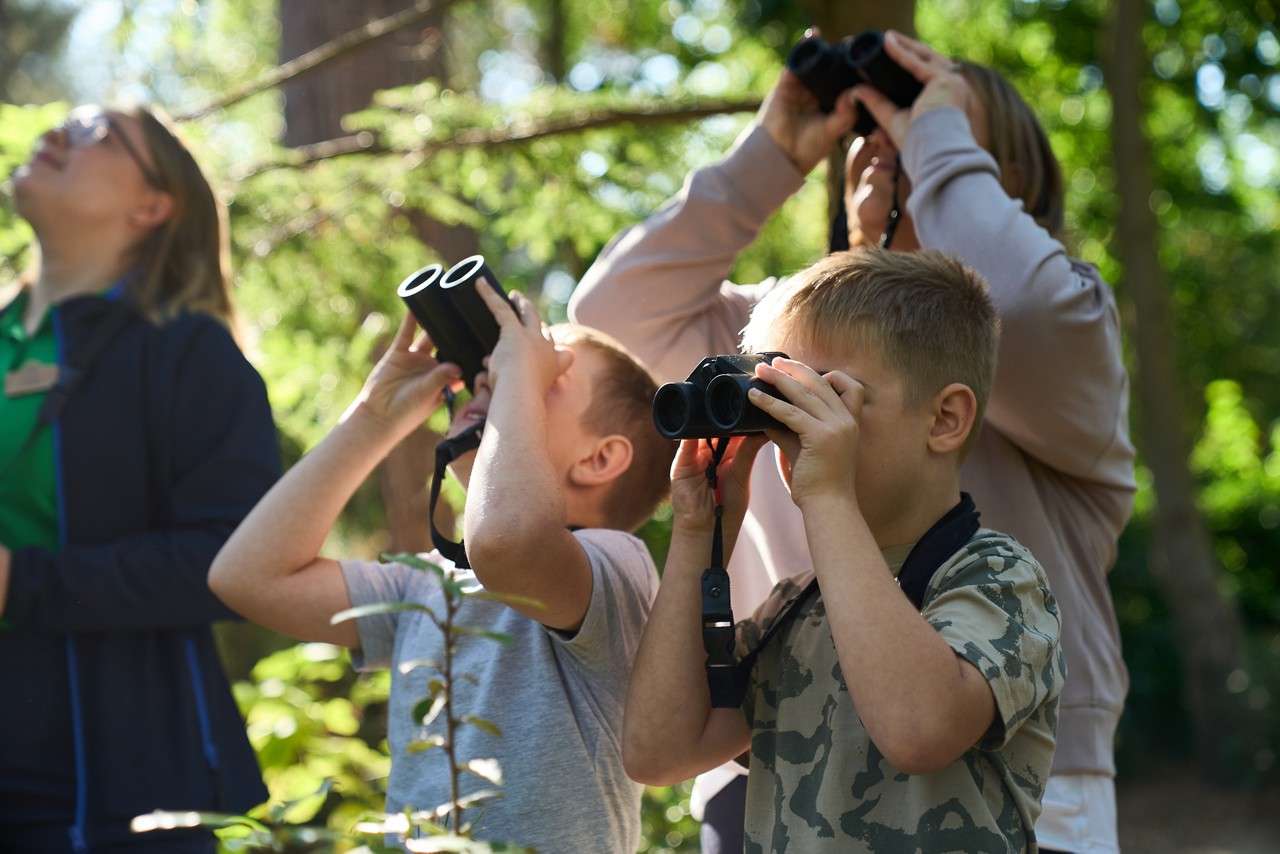 Children holding binoculars look upward, scanning the sky, while adults do the same beside them, in a leafy, sunlit forest during a nature-watching outing.
