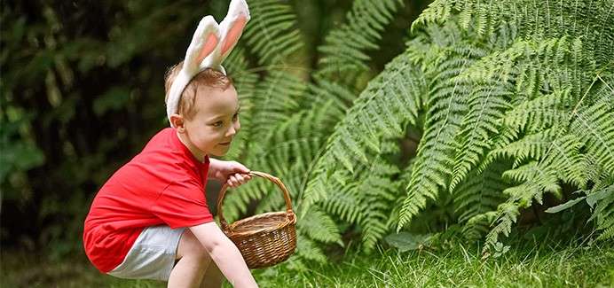 A boy on an easter egg hunt.