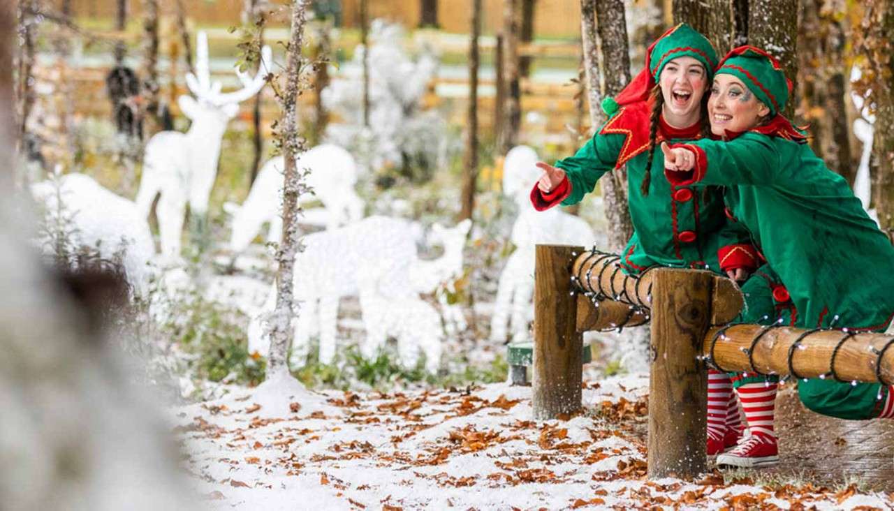 Two people dressed as Christmas elves point and smile while perched on a wooden rail, surrounded by snowy trees, leaves, string lights, and white reindeer decorations in a festive forest.