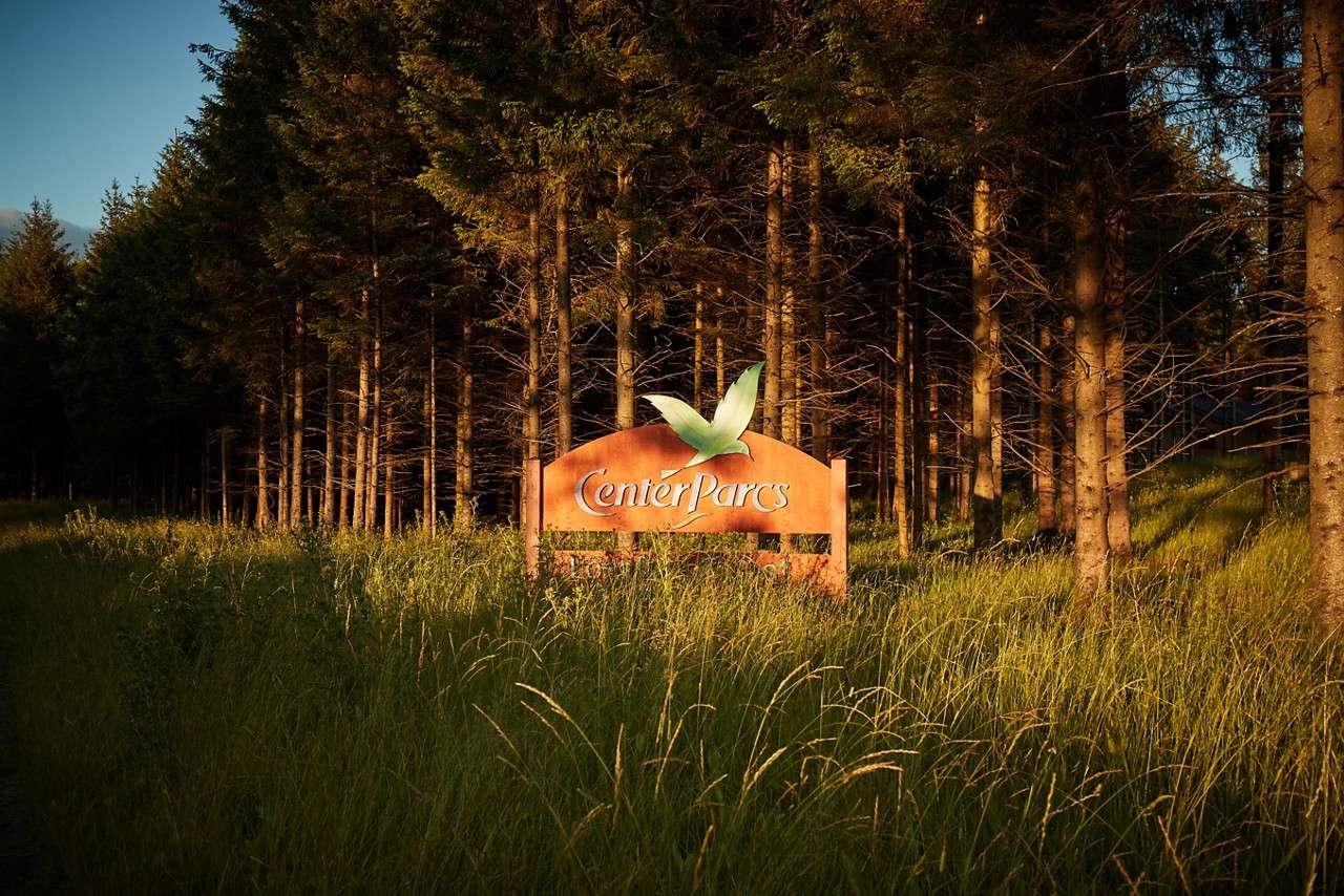 Wooden entrance sign displays “CenterParcs,” standing amid tall grass. Warm sunlight illuminates it. Context: dense pine forest of straight trunks receding into shade under a clear sky.