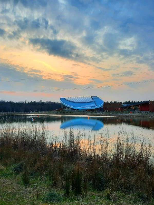 Subtropical Swimming Paradise at Longford Forest