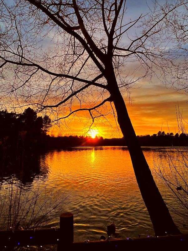 A good sunset and a tree