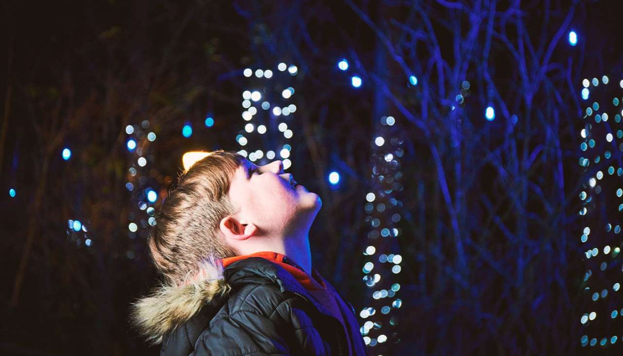Boy admires winter lights