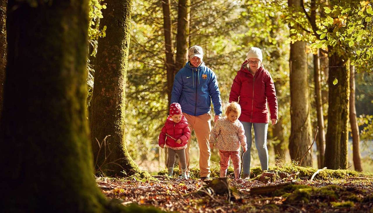 Family of four walks together, stepping over roots and leaves in a sunlit forest. Parents wear jackets and beanies; children in bright coats explore the mossy ground among tall trees.