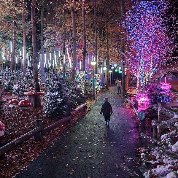 A child walking through the forest at nigh lit up by the Enchanted Light Garden