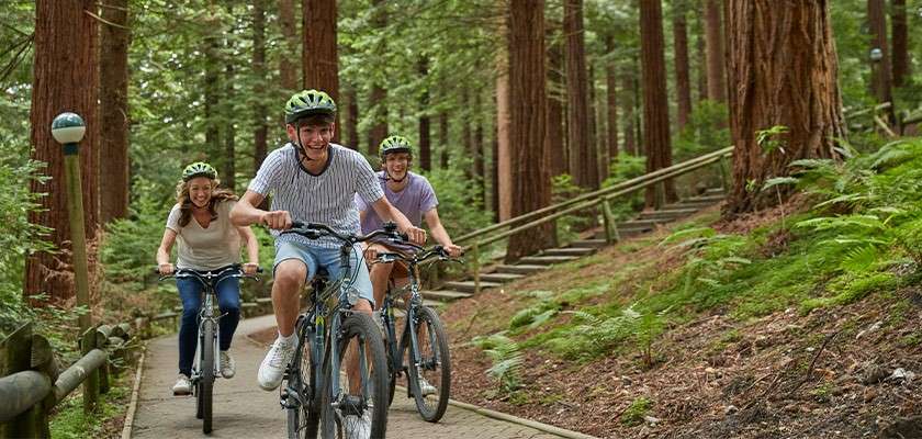 Two teenage boys and their mother cycle through the forest 