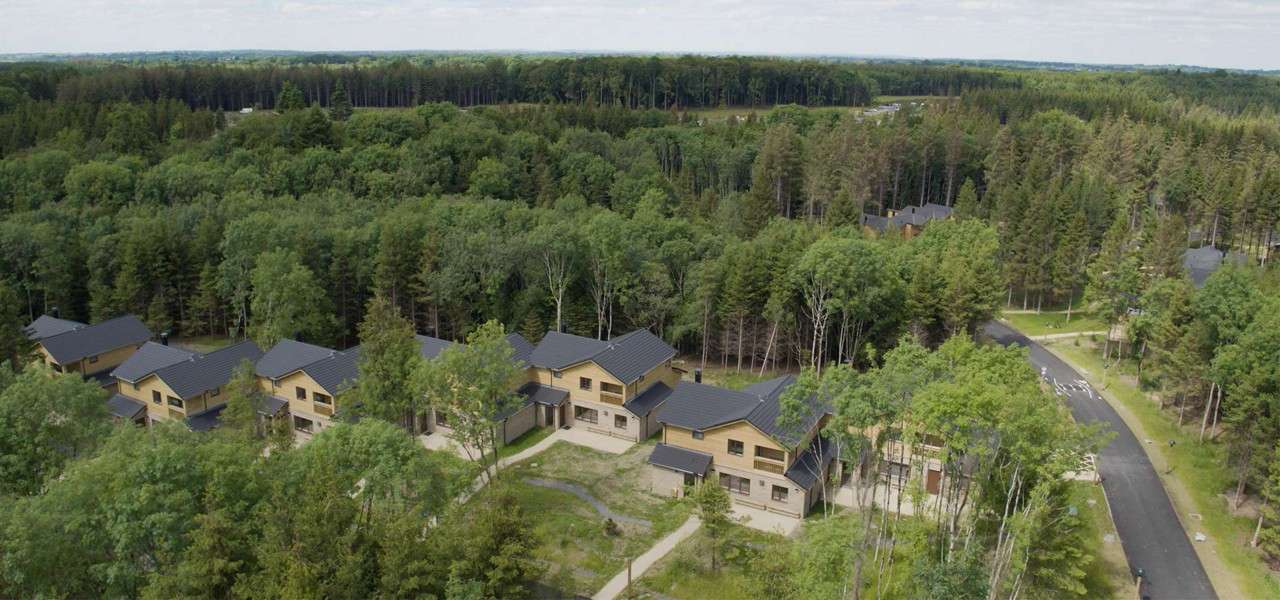 Children on an outdoor activity.