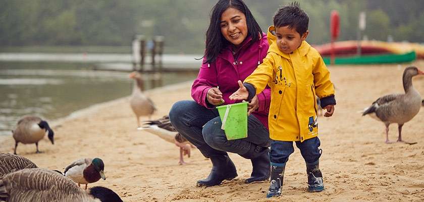 A mother and toddler feeding the ducks and geese on the beach