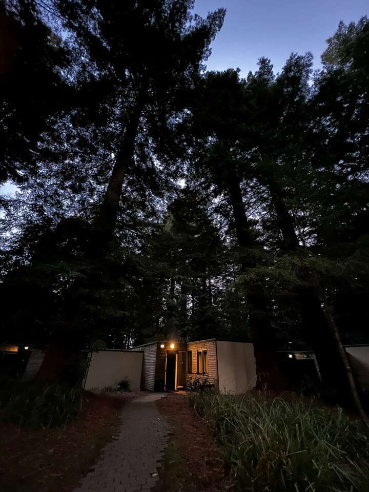 Cosy lodge at night in the forest.