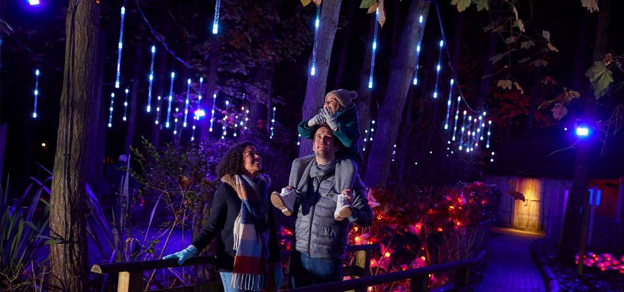 Family watches hanging blue LED lights at night; man carries child on shoulders, woman smiles beside; bundled in winter clothes along a forest path with trees and glowing foliage.