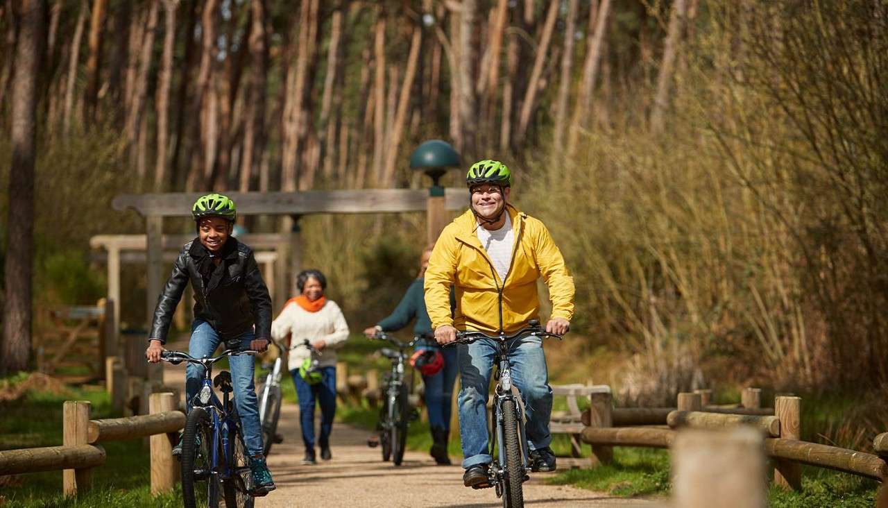 A family cycling through the forest 