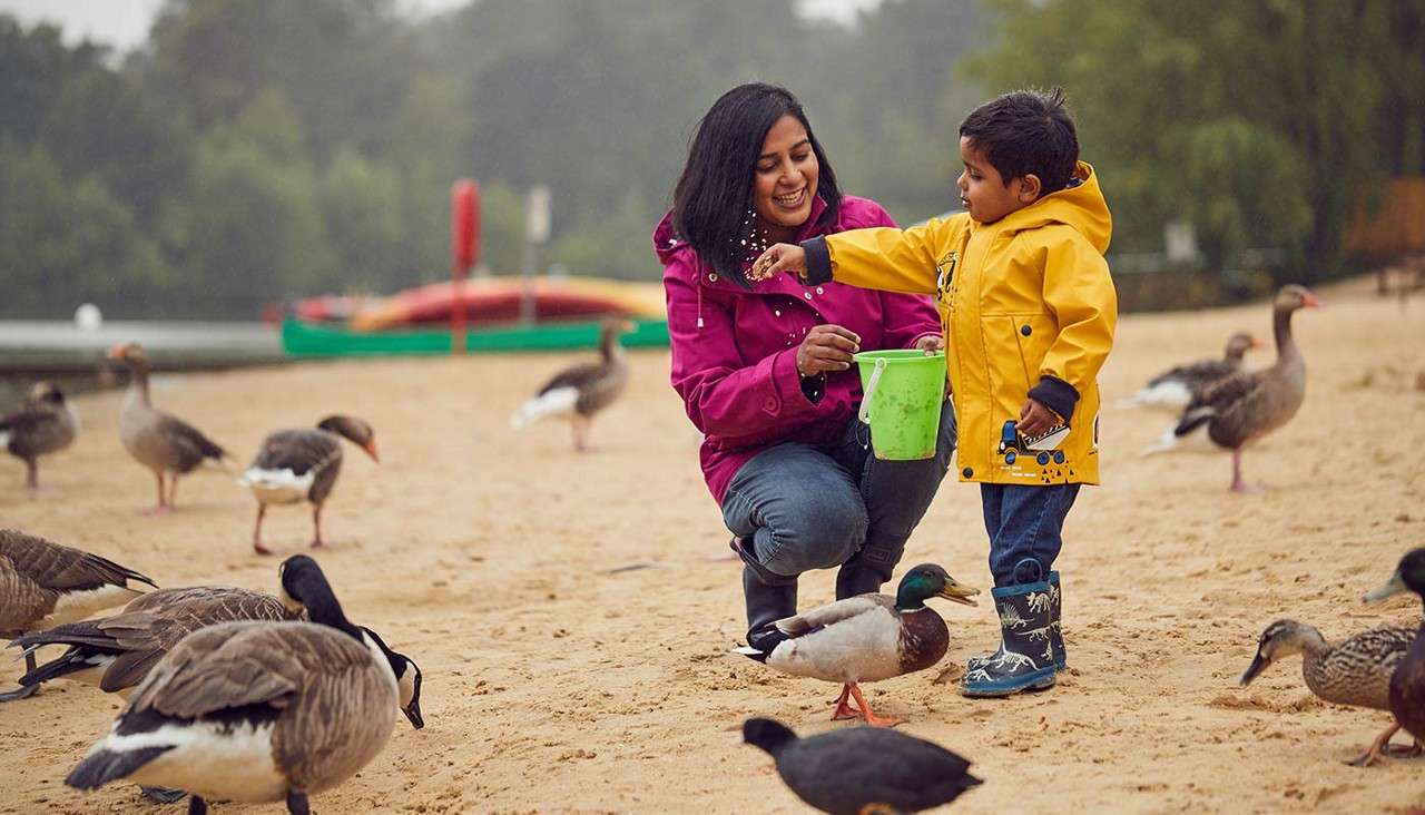 Mother and son feeding the ducks on the beach