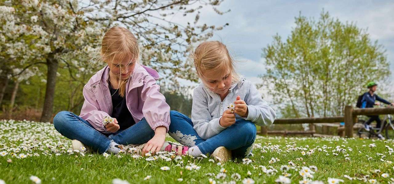 Two sisters sat on the ground, collecting daisies.