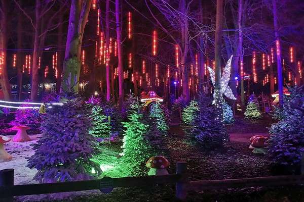 Decorated evergreen trees glow, lit by colorful lights and hanging icicle lights; oversized mushroom ornaments and a star-shaped sculpture brighten a wooded nighttime park, forming a festive forest scene.
