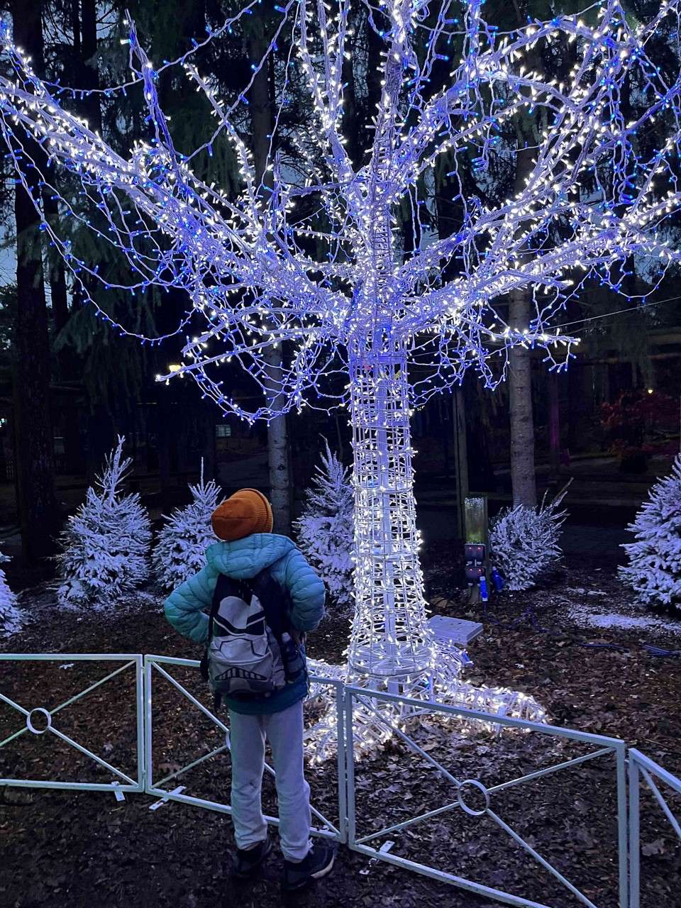 Backpack-wearing person gazes at a glowing tree sculpture wrapped in white and blue string lights, within a fenced winter park area surrounded by snow-dusted evergreens at dusk.