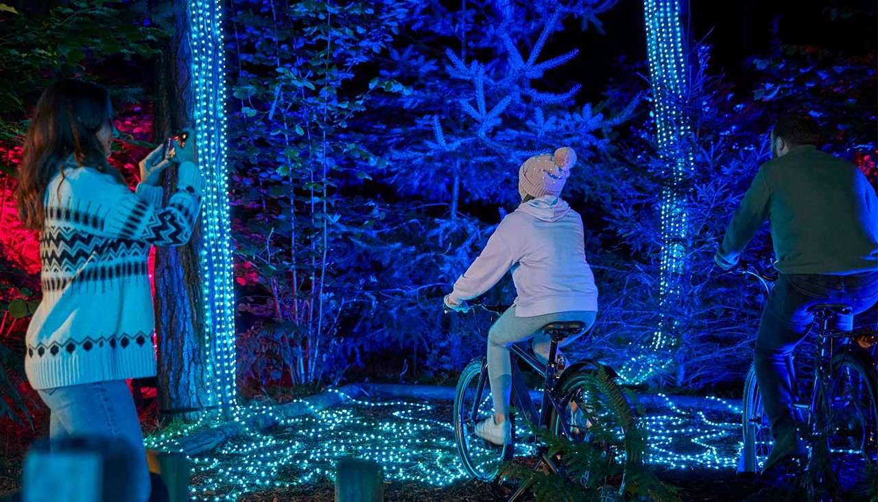 Cyclists pedal along stationary bikes, powering through an illuminated forest; blue LED strips wrap trees and carpet the ground, while a bundled onlooker photographs the glowing scene amid night-time foliage.