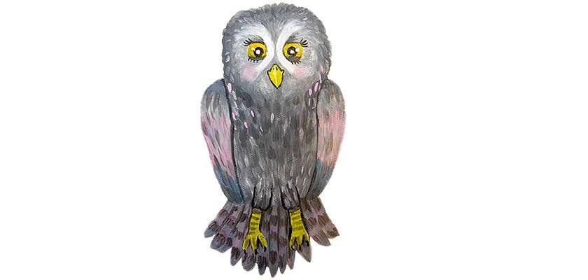 An illustration of an owl