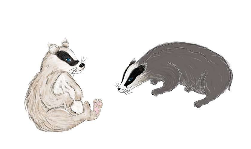 Twiglet and Starr