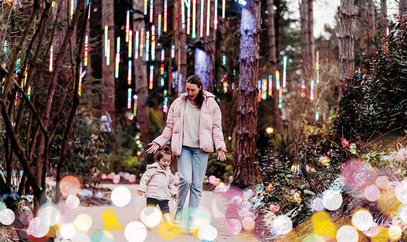 An adult and child walk together on a forest path, hands outstretched; overhead, vertical multicolored light tubes glow among tall trees, with soft bokeh orbs sparkling in the foreground.