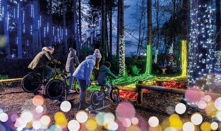A family looking at the Enchanted Light Garden
