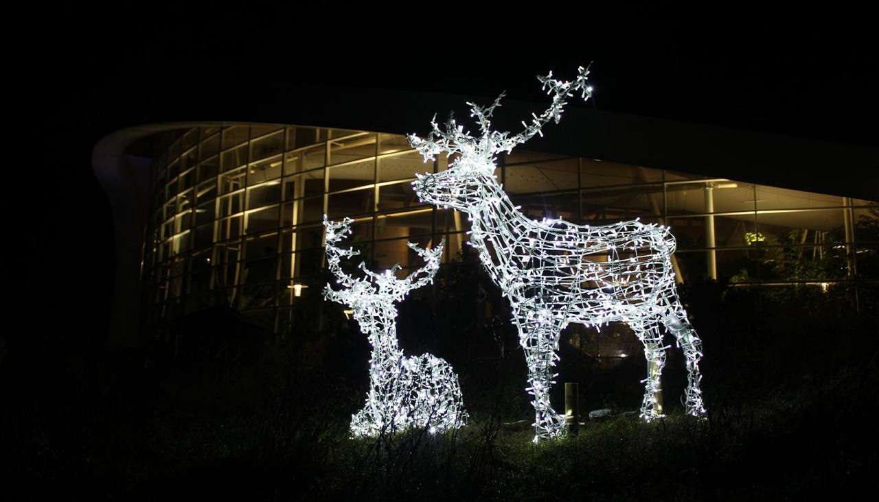 Two wireframe reindeer glow with white lights, standing and facing each other. They illuminate a dark outdoor scene beside a modern, curved glass-fronted building at night.