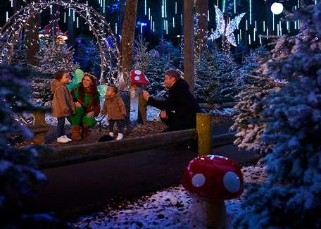 Festive breaks