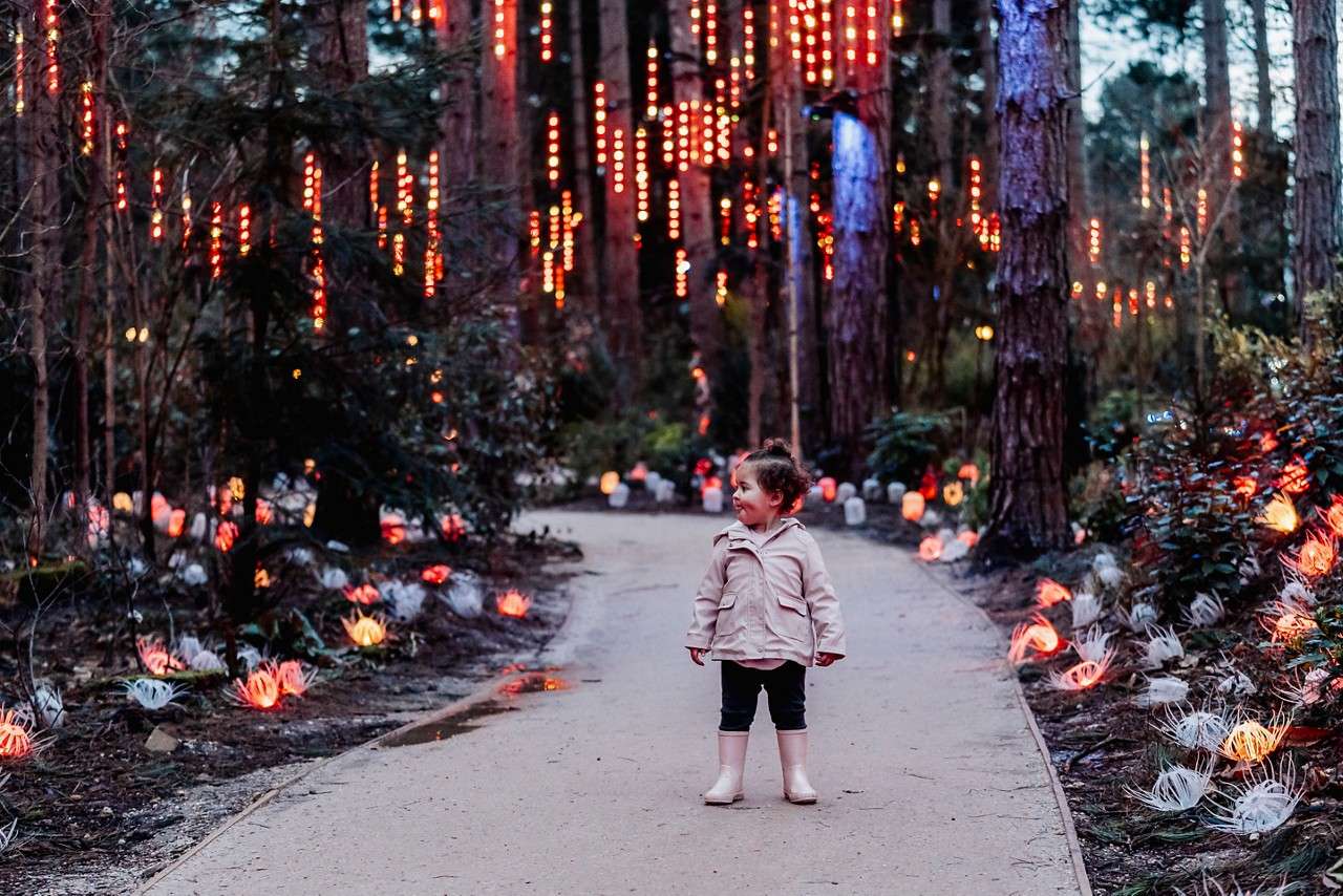 young girl surrounded by lights in forest