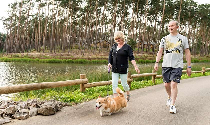 Couple walking dog through the forest