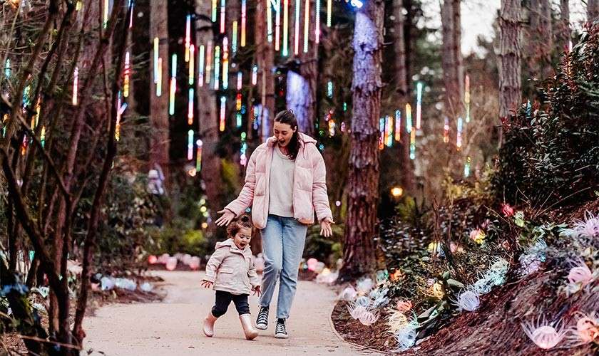 Father and daughter under tree with Christmas lights