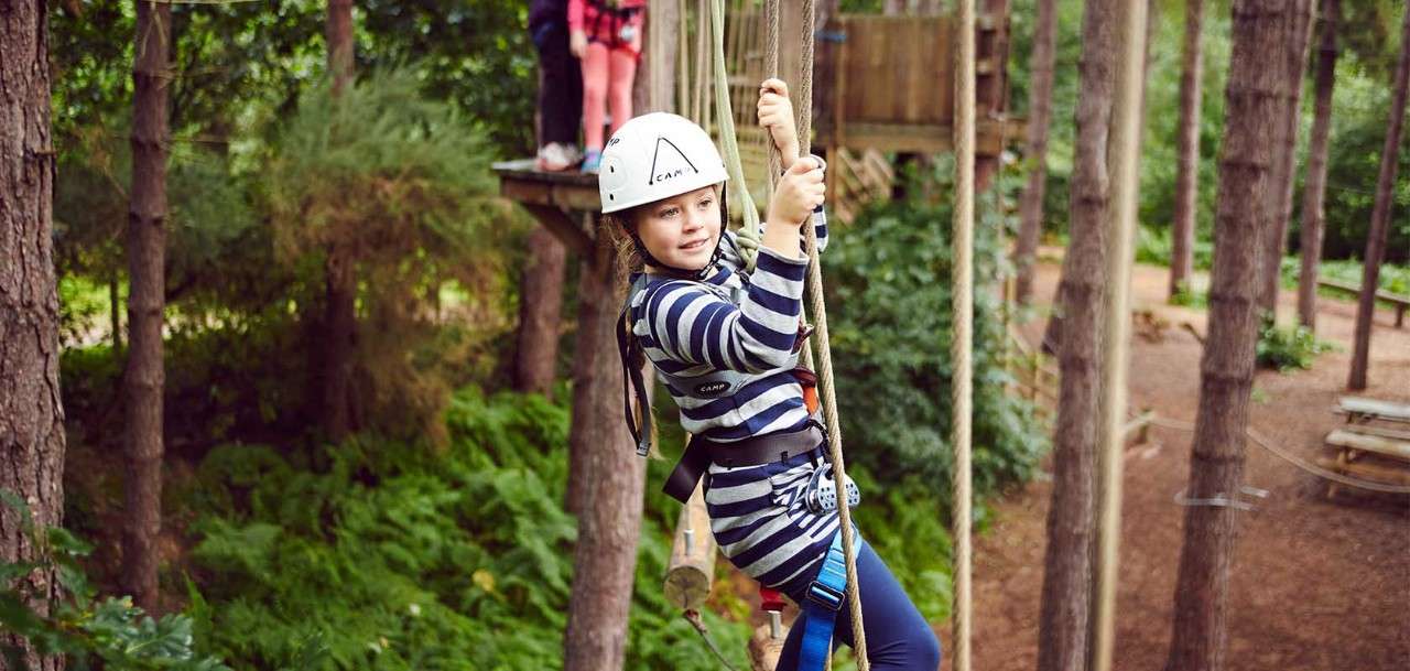 Girl in tree tops on Aerial Adventure Activity