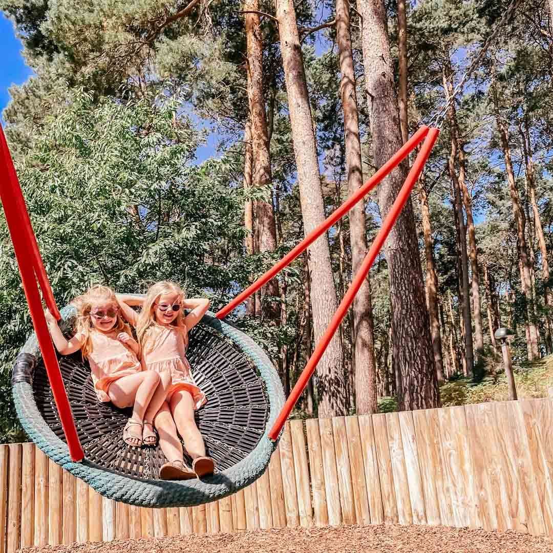 Two girls in a basket swing