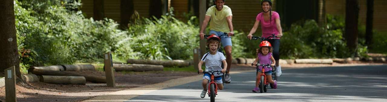 A family cycling together through the forest.