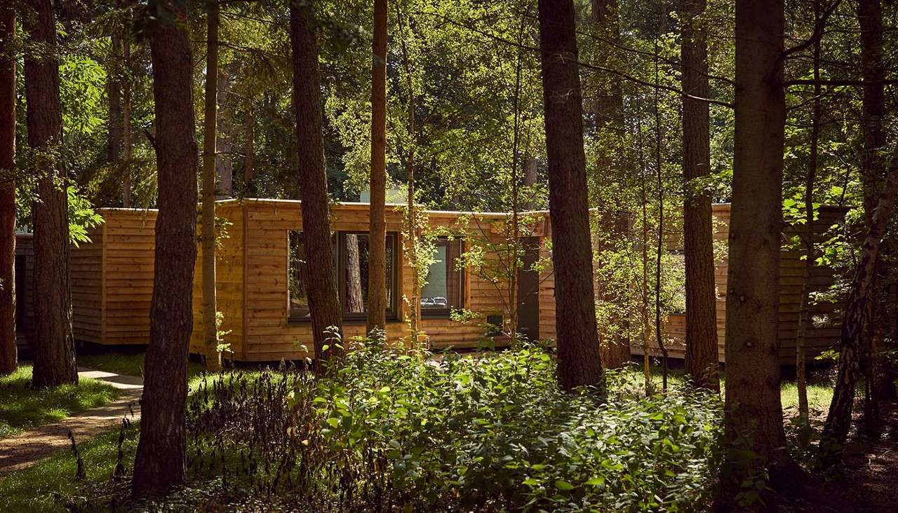 The view of a lodge through the trees of a forest 