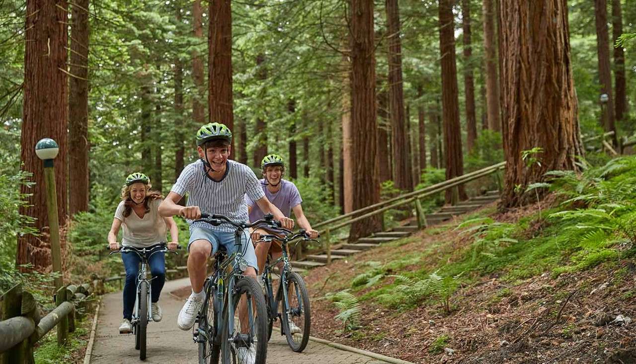 A boy wearing a bike helmet in the forest 