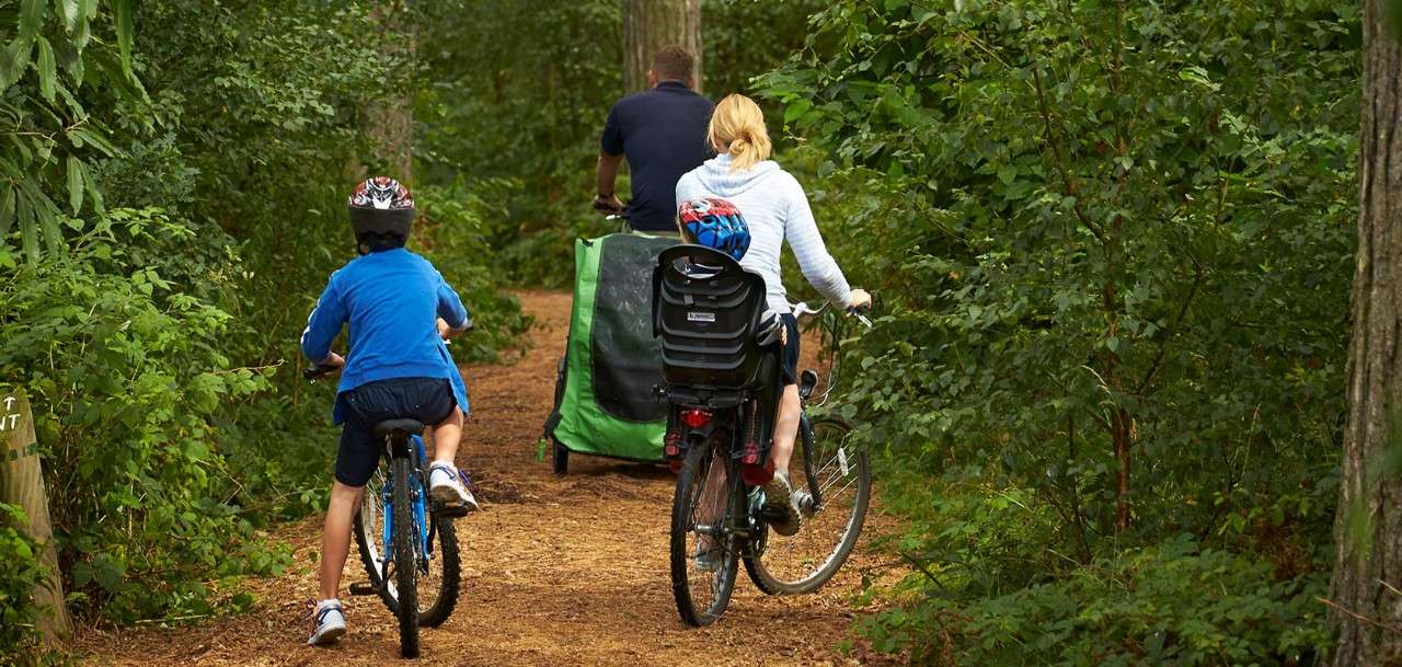 A family cycling through the forest
