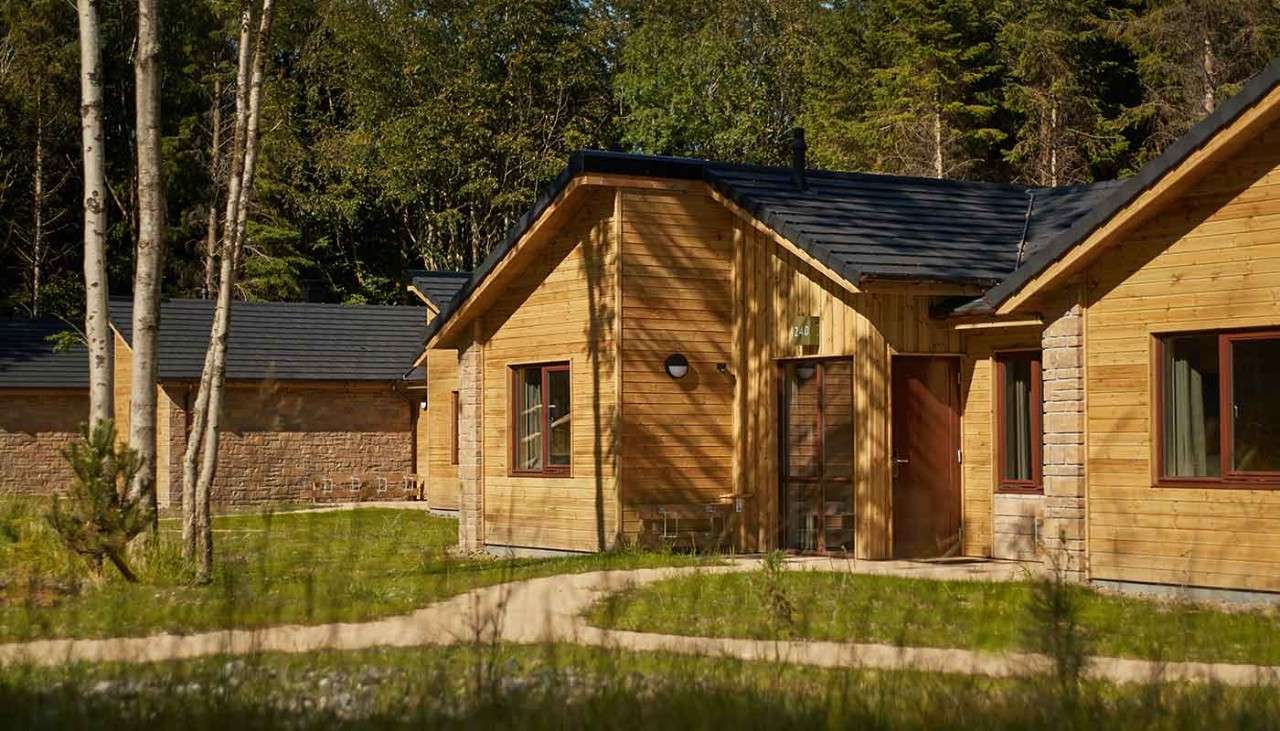 Woodland Lodges in the forest