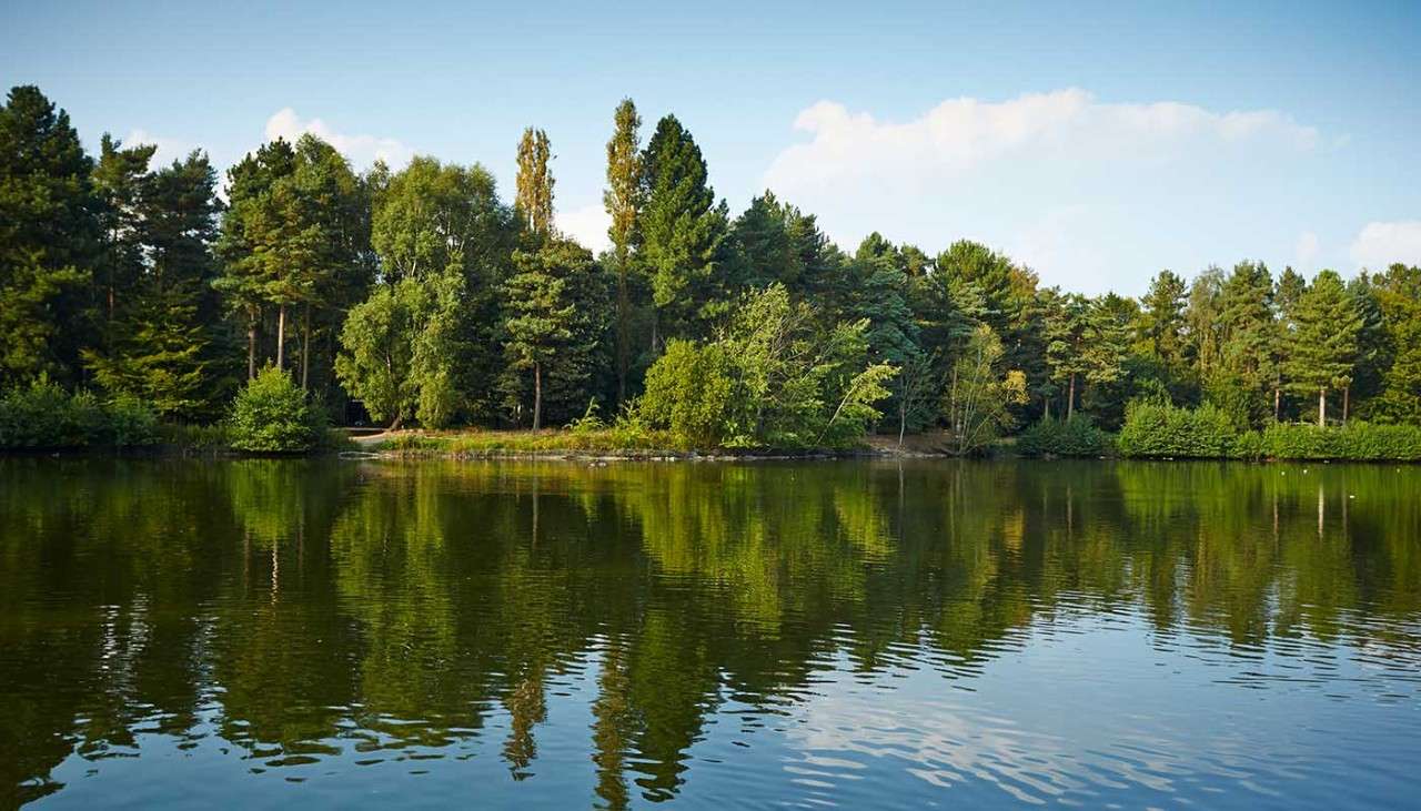 View of a Center Parcs lake with forest behind