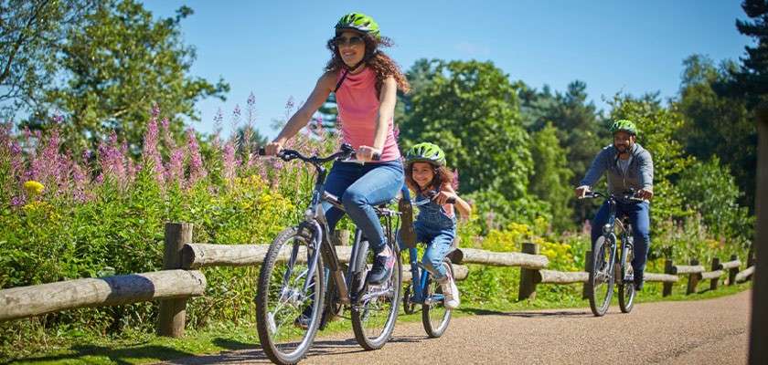 A family rides bicycles along a sunny park path; a woman leads, child follows with small bike, man behind. Wooden fence, flowers, trees, clear blue sky.