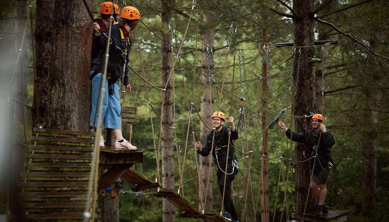 Adults walking on planks in the trees on our Aerial Adventure course