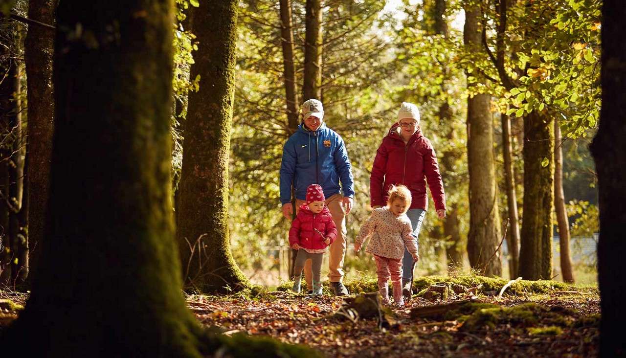 Family walk through woods