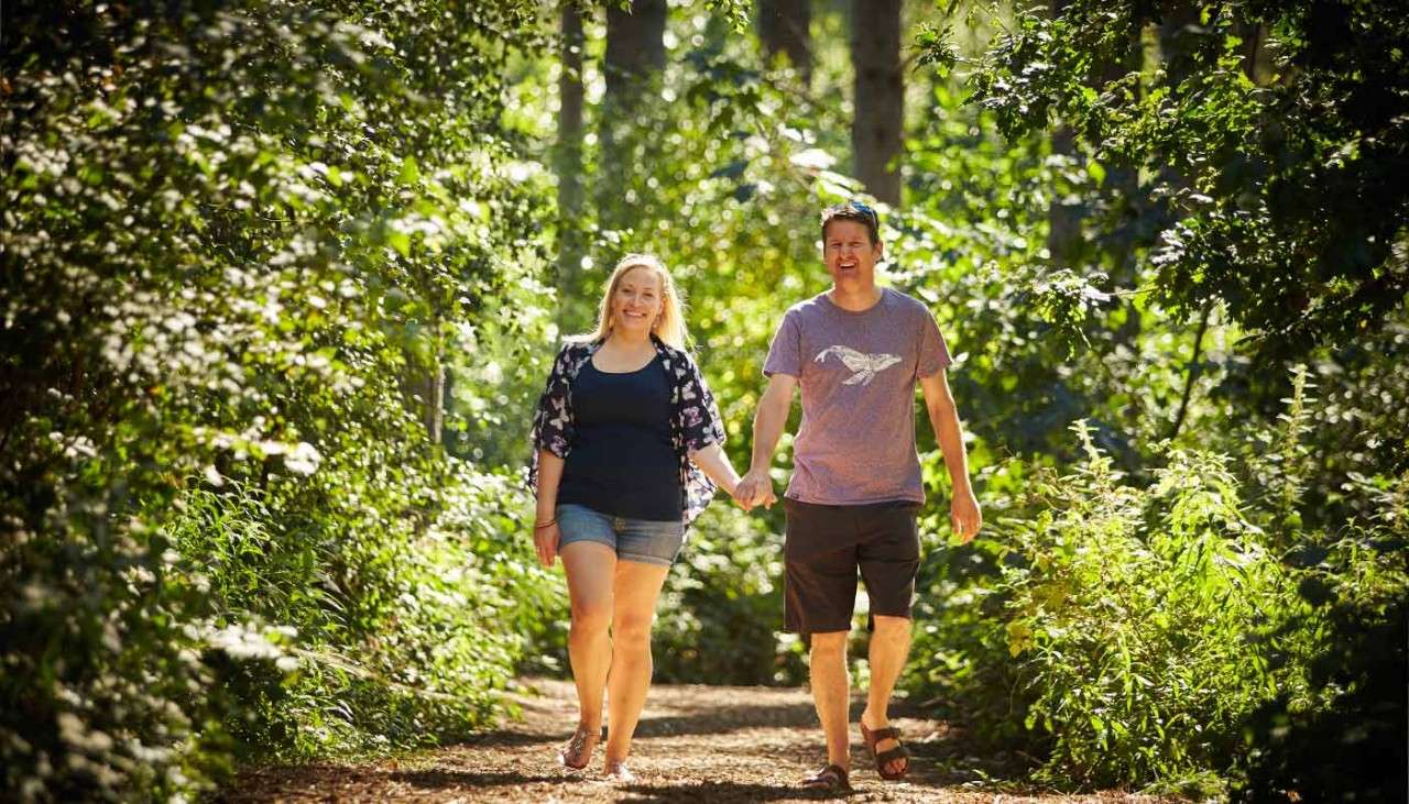 Couple holding hands walking through the forest on a summers day